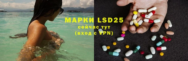 твердый Богданович