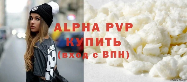 твердый Богданович