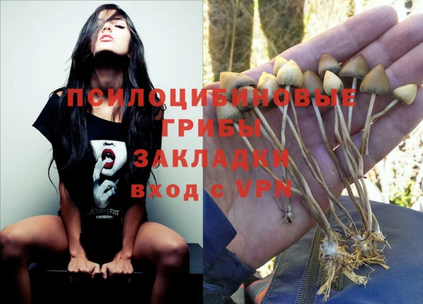 дживик Бугульма