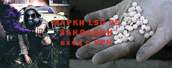твердый Богданович