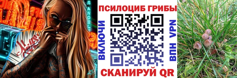 Галлюциногенные грибы GOLDEN TEACHER  Кедровый 